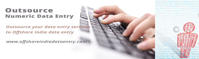 Numeric Data Entry Services